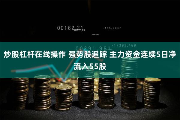 炒股杠杆在线操作 强势股追踪 主力资金连续5日净流入55股