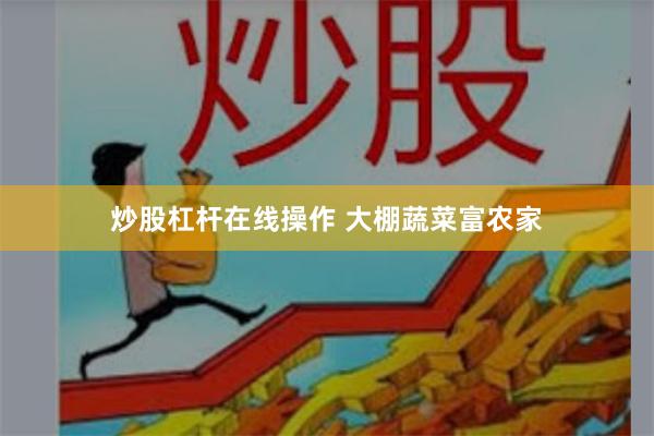 炒股杠杆在线操作 大棚蔬菜富农家